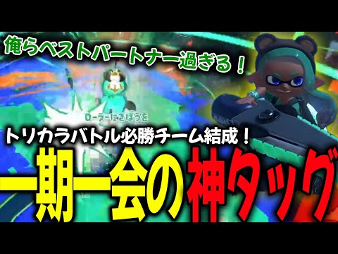 トリカラバトルにて最強戦術を見つけ、はしゃぎまくるダイナモン【ジムワイパー/切り抜き】